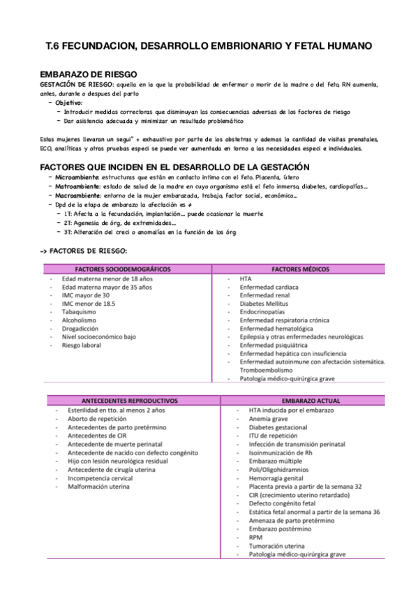 Miniatura del documento T6-materno.pdf