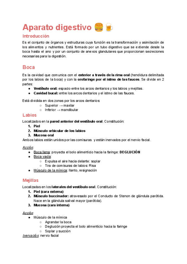 Miniatura del documento Anatomia-Digestivo-Completo.pdf