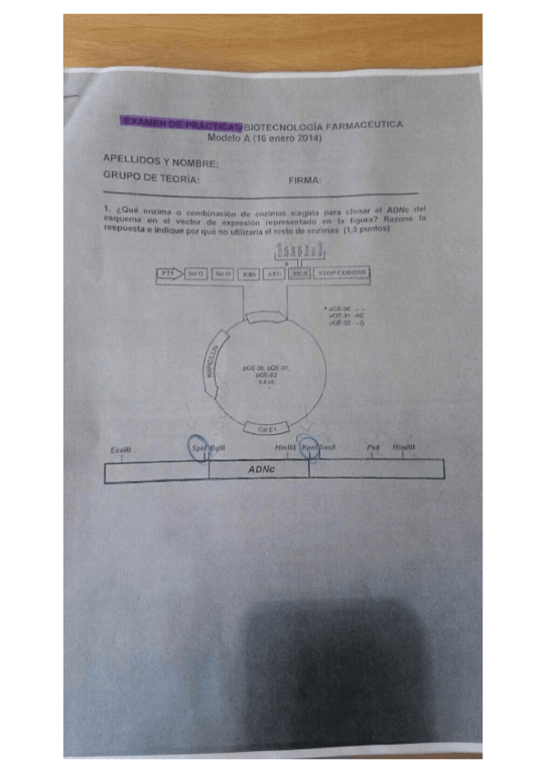 Miniatura del documento practicas biotecnologia examen.pdf