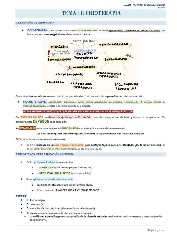 Miniatura del documento TEMA-11-PPGGII.pdf