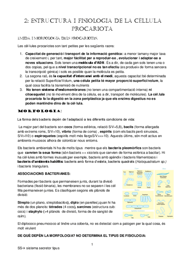 Miniatura del documento tema-2.pdf