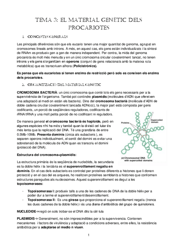 Miniatura del documento tema-3.pdf