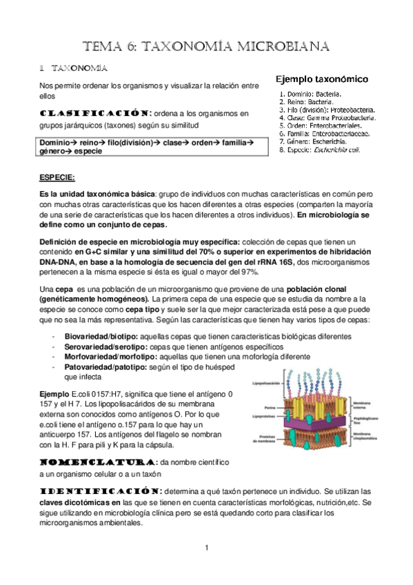 Miniatura del documento tema-6.pdf