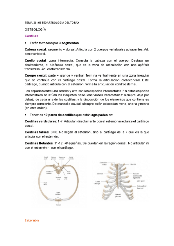 Miniatura del documento TEMA-26.pdf