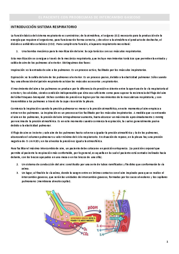 Miniatura del documento repiratorio-I.pdf