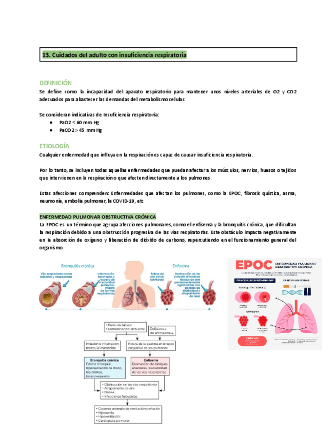 Miniatura del documento 13.-Cuidados-del-adulto-con-insuficiencia-respiratoria.pdf