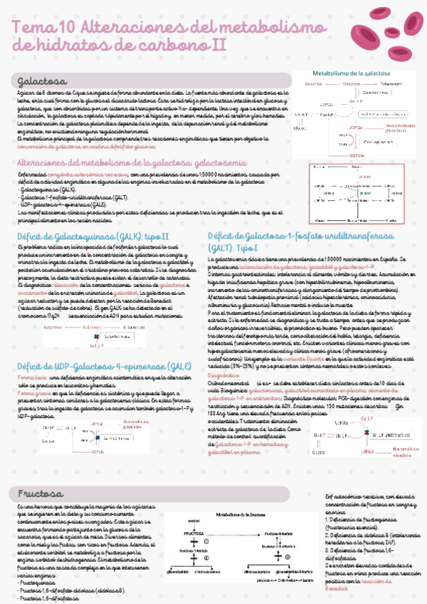 Miniatura del documento Tema-10.pdf