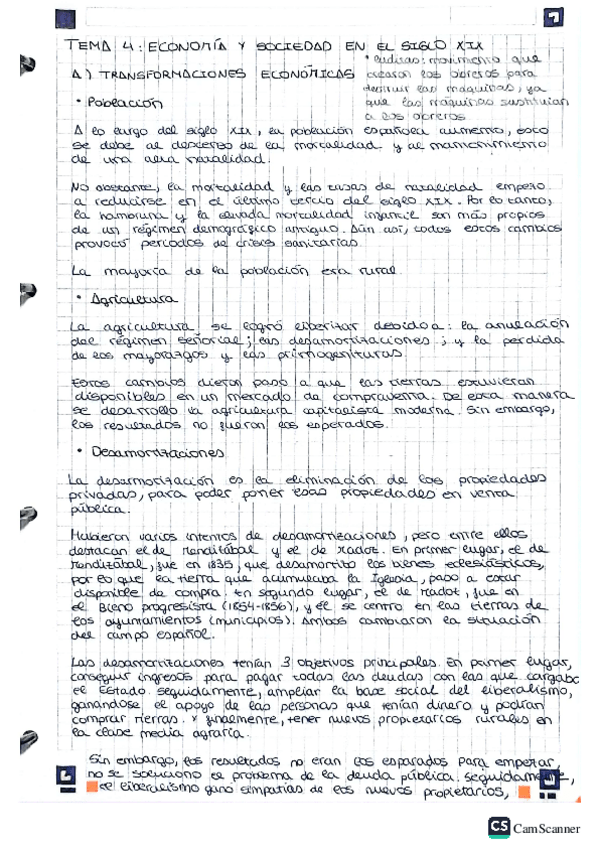 Miniatura del documento Tema-4-Economia-y-sociedad-en-el-siglo-XIX.pdf