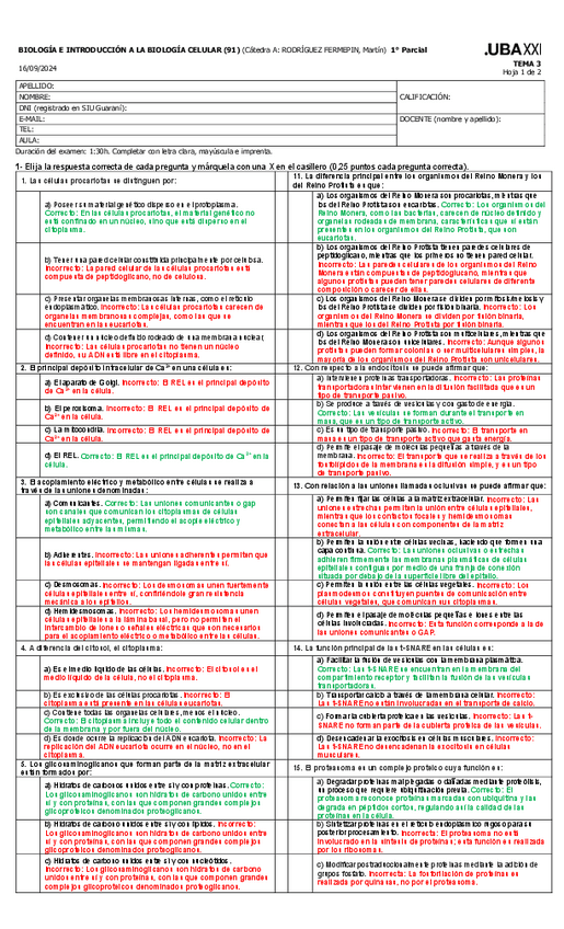 Miniatura del documento 1P2C2024-T2-Tema-3-Resuelto.pdf