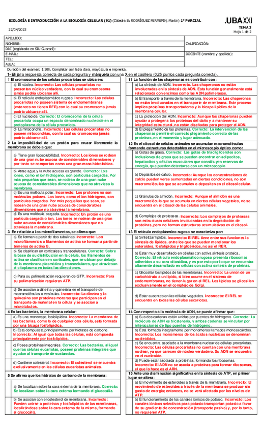 Miniatura del documento 1P1C2024-2Tresuelto-1.pdf