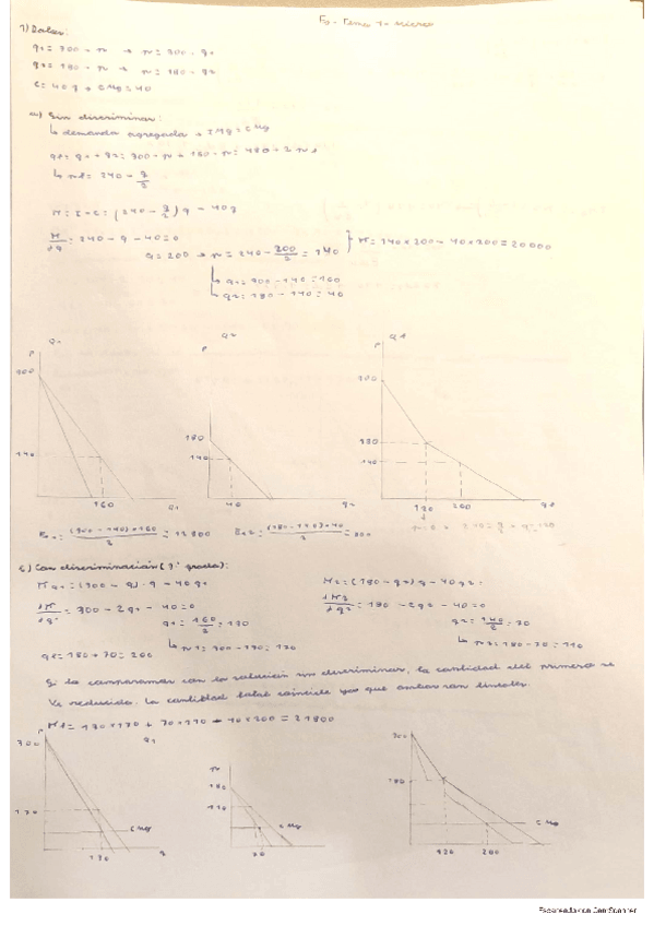 Miniatura del documento discriminacion-de-precios-micro.pdf