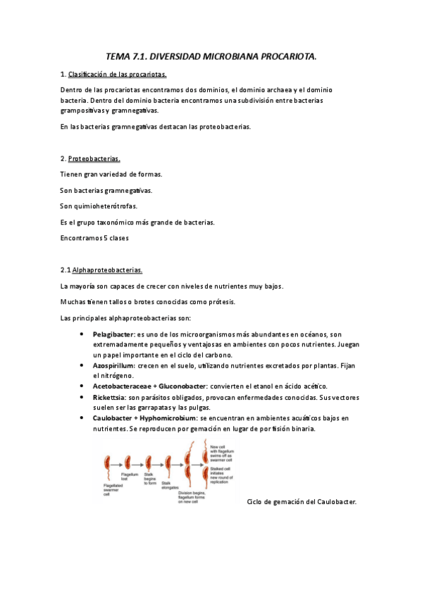 Miniatura del documento Apuntes-Tema-7.1-Diversidad-microbiana-procariota.pdf
