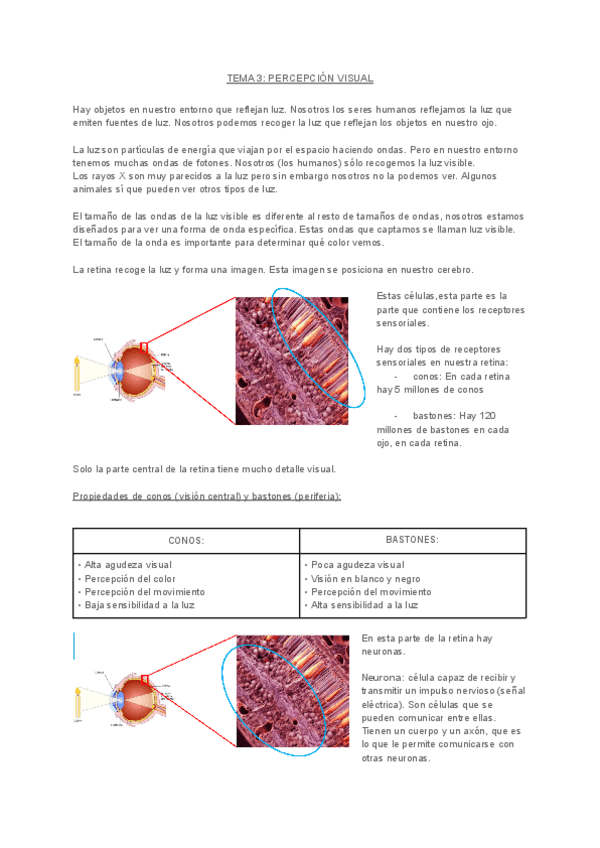 Miniatura del documento PERCEPCIONTEMA3.pdf