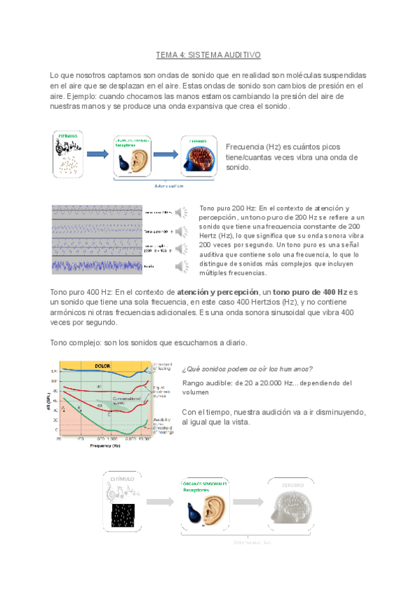 Miniatura del documento PERCEPCIONTEMA4.pdf