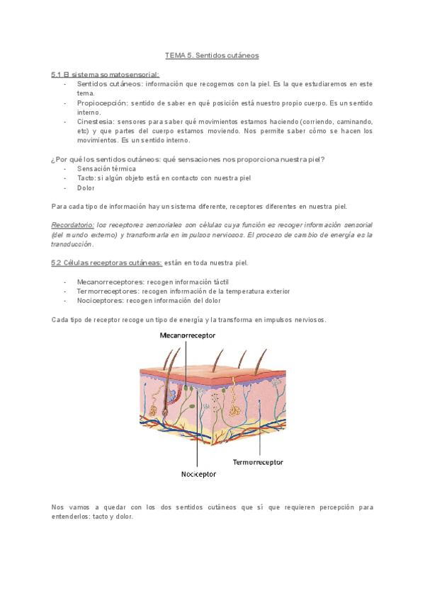Miniatura del documento PERCEPCIONTEMA5.pdf