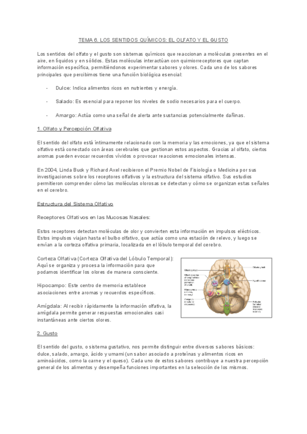 Miniatura del documento PERCEPCIONTEMA6.pdf