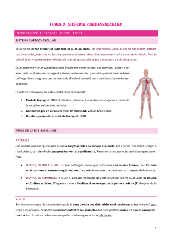 Miniatura del documento p1-anato.pdf
