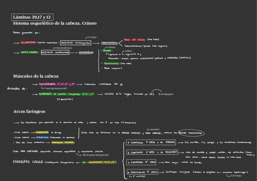 Miniatura del documento Esquema-embrio-p6-Candela.pdf