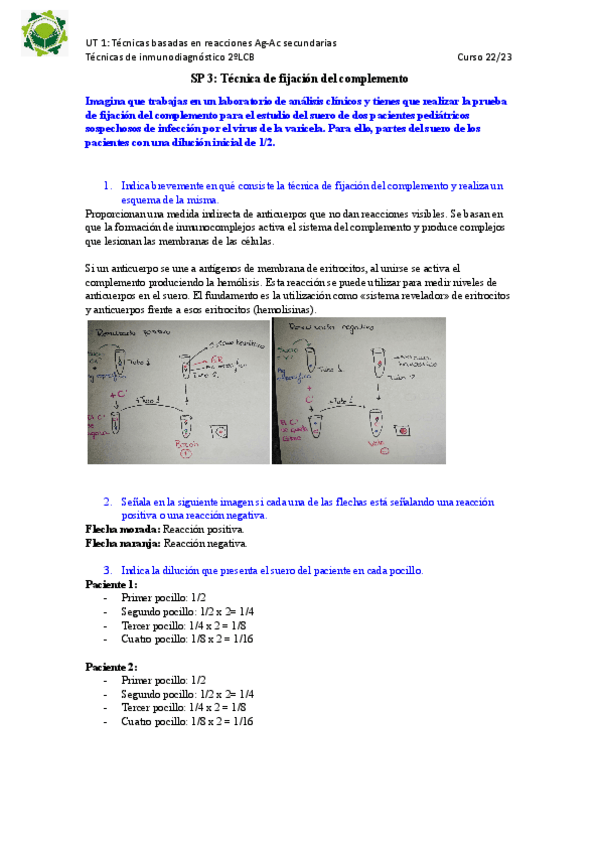 Miniatura del documento Tecnica-de-fijacion-del-complemento.pdf
