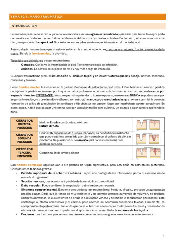 Miniatura del documento T10.1-TX-MANO.pdf