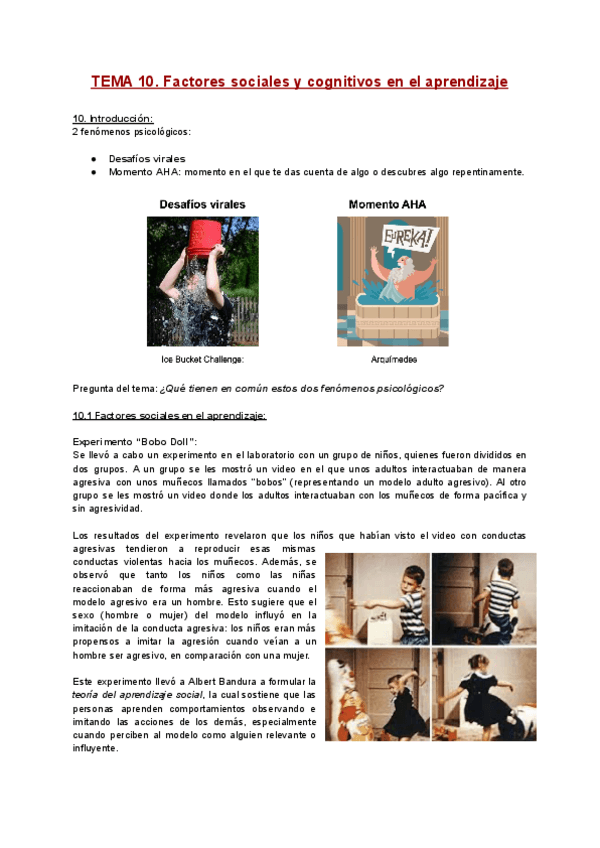 Miniatura del documento TEMA-10.pdf