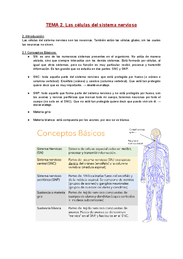 Miniatura del documento TEMA-2.pdf