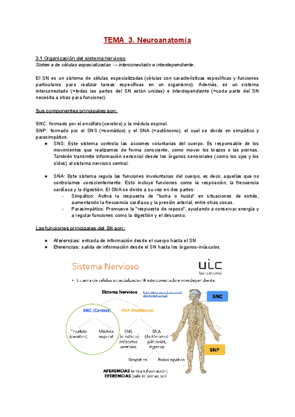 Miniatura del documento TEMA-3.pdf