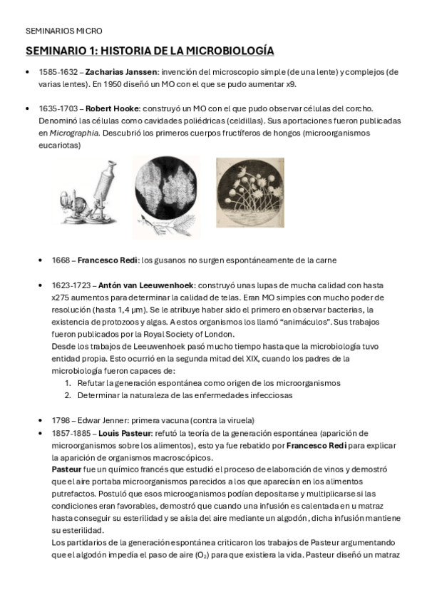 Miniatura del documento SEMINARIOS-1-5-MICROBIOLOGIA.pdf
