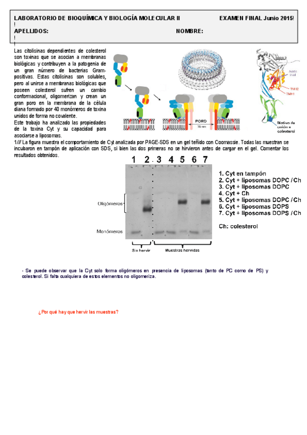 Miniatura del documento Junio2015*.pdf