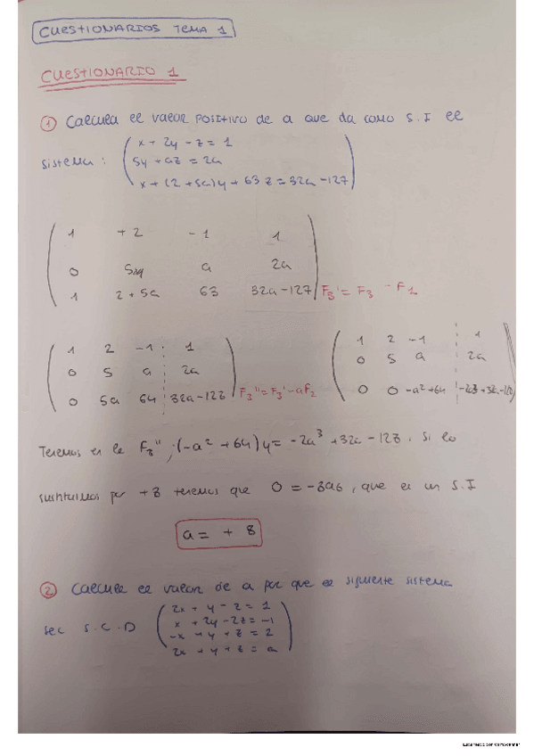 Miniatura del documento Ejerficios-dificiles-Cuestionario-Tema-1-Algebra-lineal.pdf
