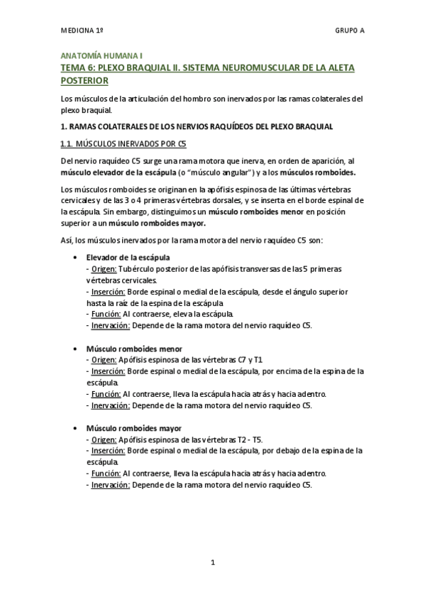 Miniatura del documento TEMA 6 - PLEXO BRAQUIAL II Sistema neuromuscular de la aleta posterior.pdf