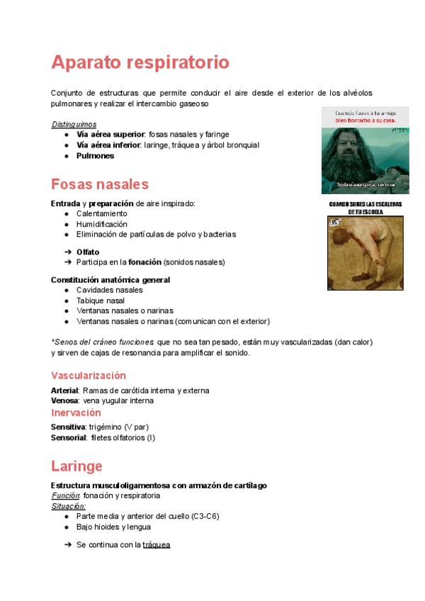 Miniatura del documento Anatomia-Aparato-Respiratorio.pdf