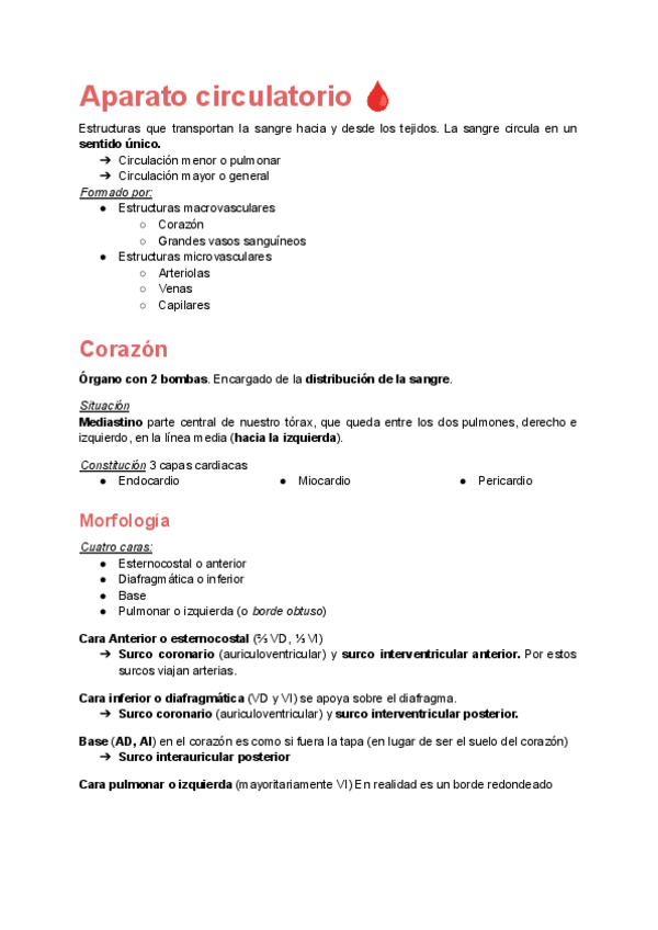 Miniatura del documento Anatomia-Sistema-Circulatorio.pdf