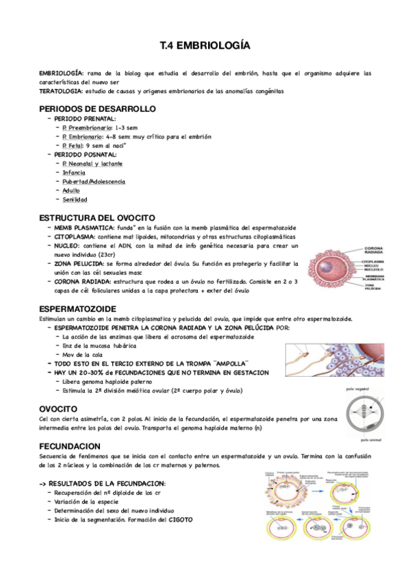 Miniatura del documento T4-materno.pdf