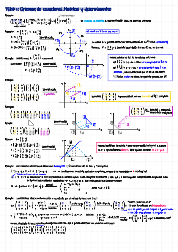 Miniatura del documento TEMA-1-SISTEMAS-DE-ECUACIONES.-MATRICES-Y-DETERMINANTES.pdf