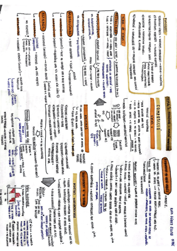 Miniatura del documento TEMA-3-BIOCELL.pdf