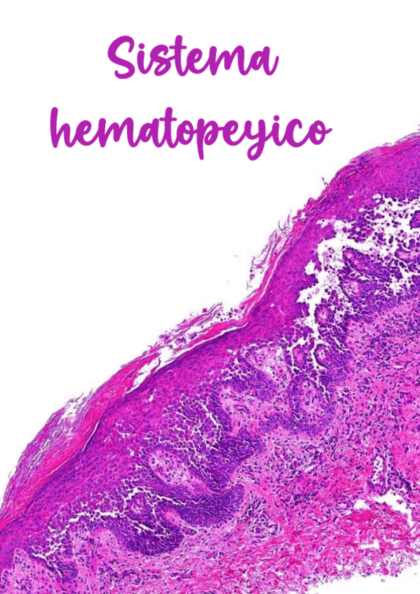 Miniatura del documento Tema-4-Sistema-Hematopeyico-2.pdf