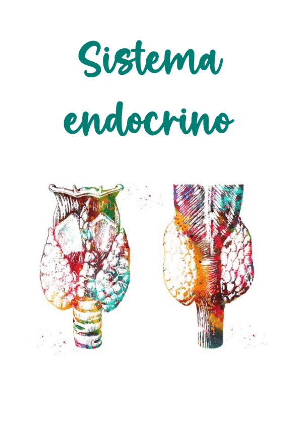 Miniatura del documento Tema-5-S.-Endocrino-3.pdf
