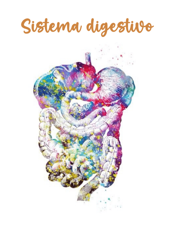 Miniatura del documento Tema-6-S.Digestivo-2.pdf