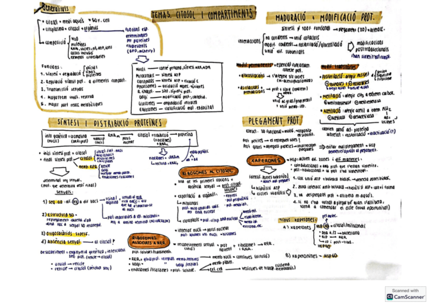 Miniatura del documento TEMA5-BIOCELL.pdf