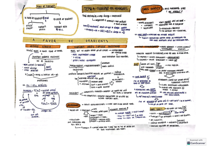 Miniatura del documento TEMA4-BIOCELL.pdf