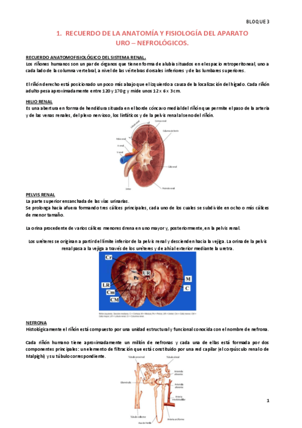 Miniatura del documento CLINICA-B3-Resumen.pdf