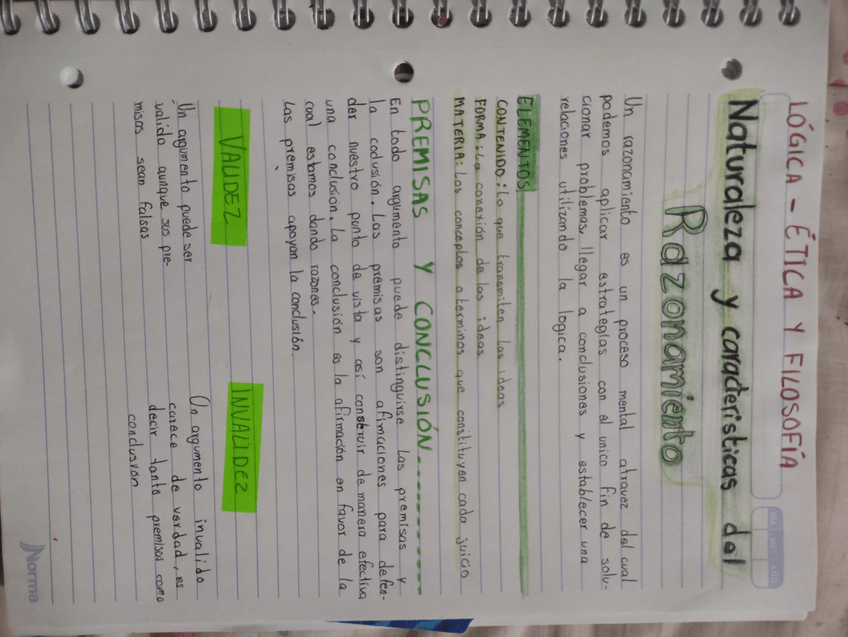 Miniatura del documento naturalezaycaracteristicasdelrazonamiento.jpg