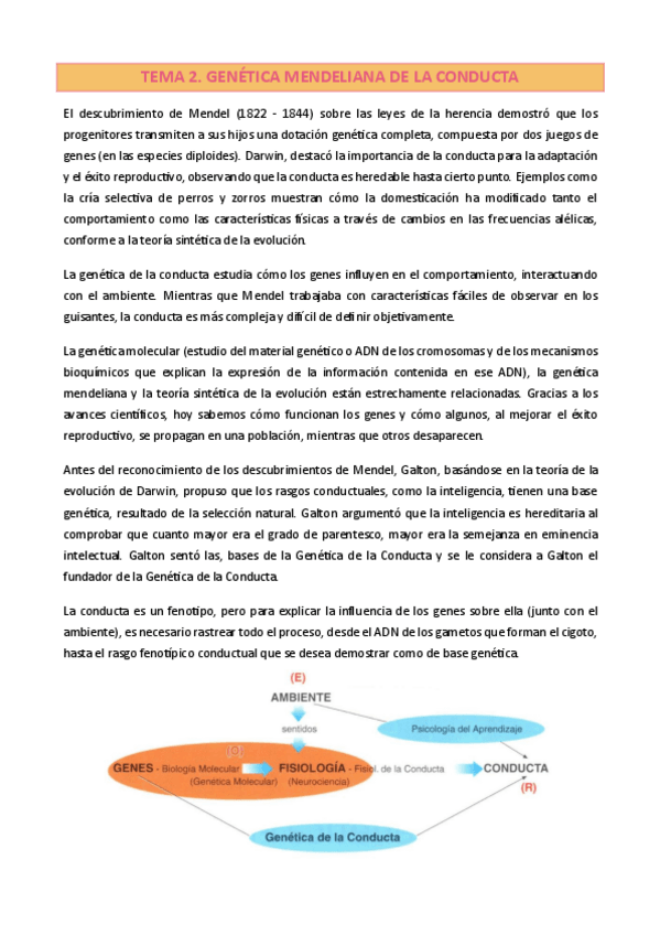 Miniatura del documento TEMA-2.pdf