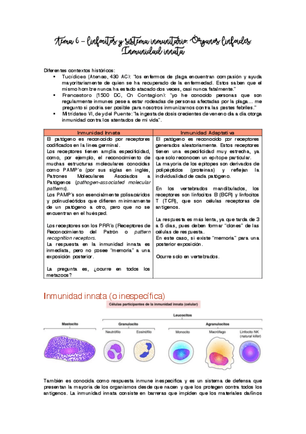 Miniatura del documento Tema 6 - Inmunitario.pdf