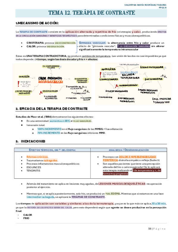 Miniatura del documento TEMA-12-PPGGII.pdf