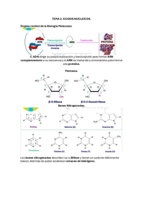 Miniatura del documento Primer-parcial-BQI.pdf