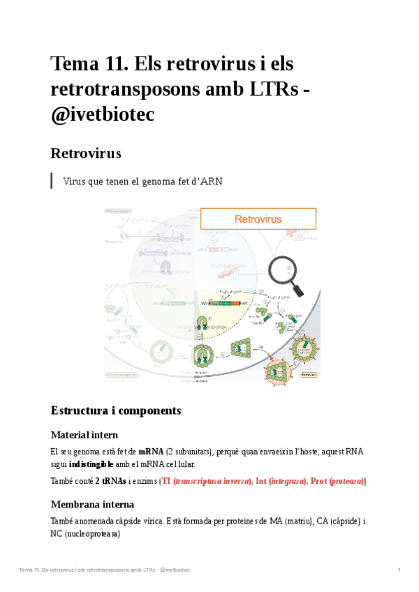 Miniatura del documento Tema-11Genetica-molecular.pdf