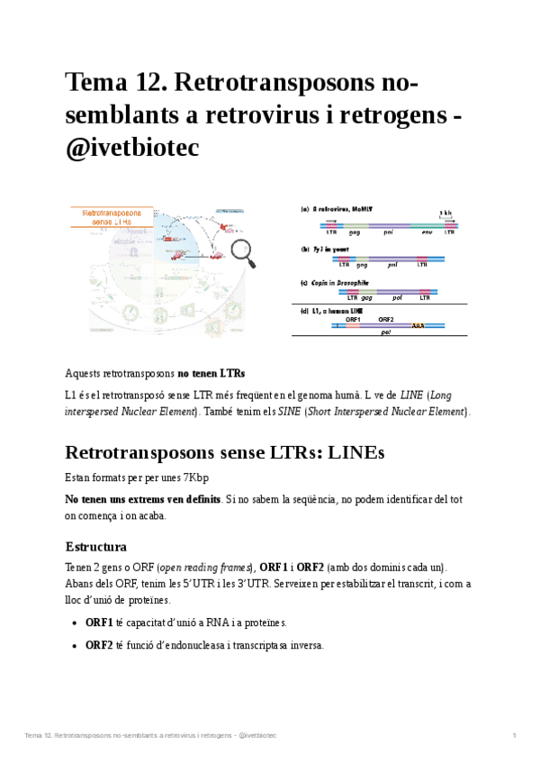 Miniatura del documento Tema-12Genetica-molecular.pdf