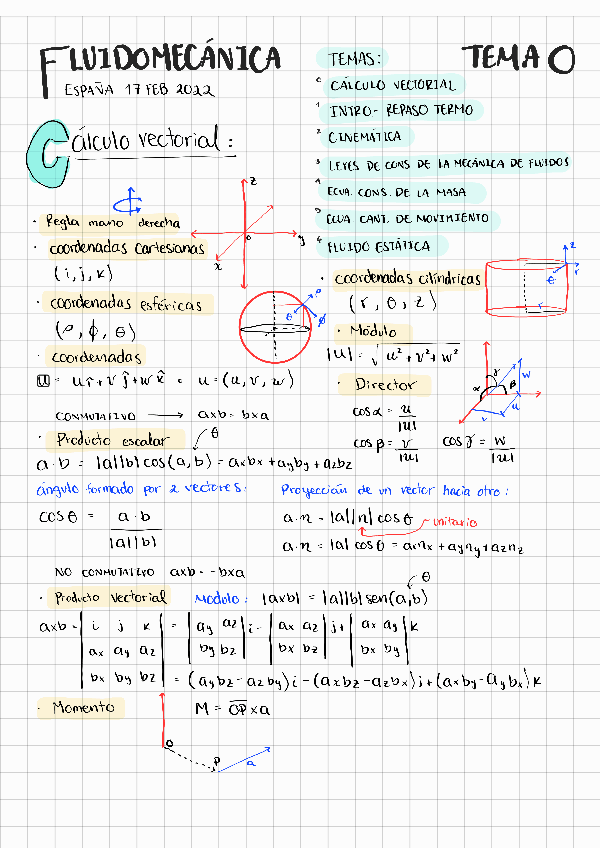Miniatura del documento Fluidos-Resumen240509191349.pdf